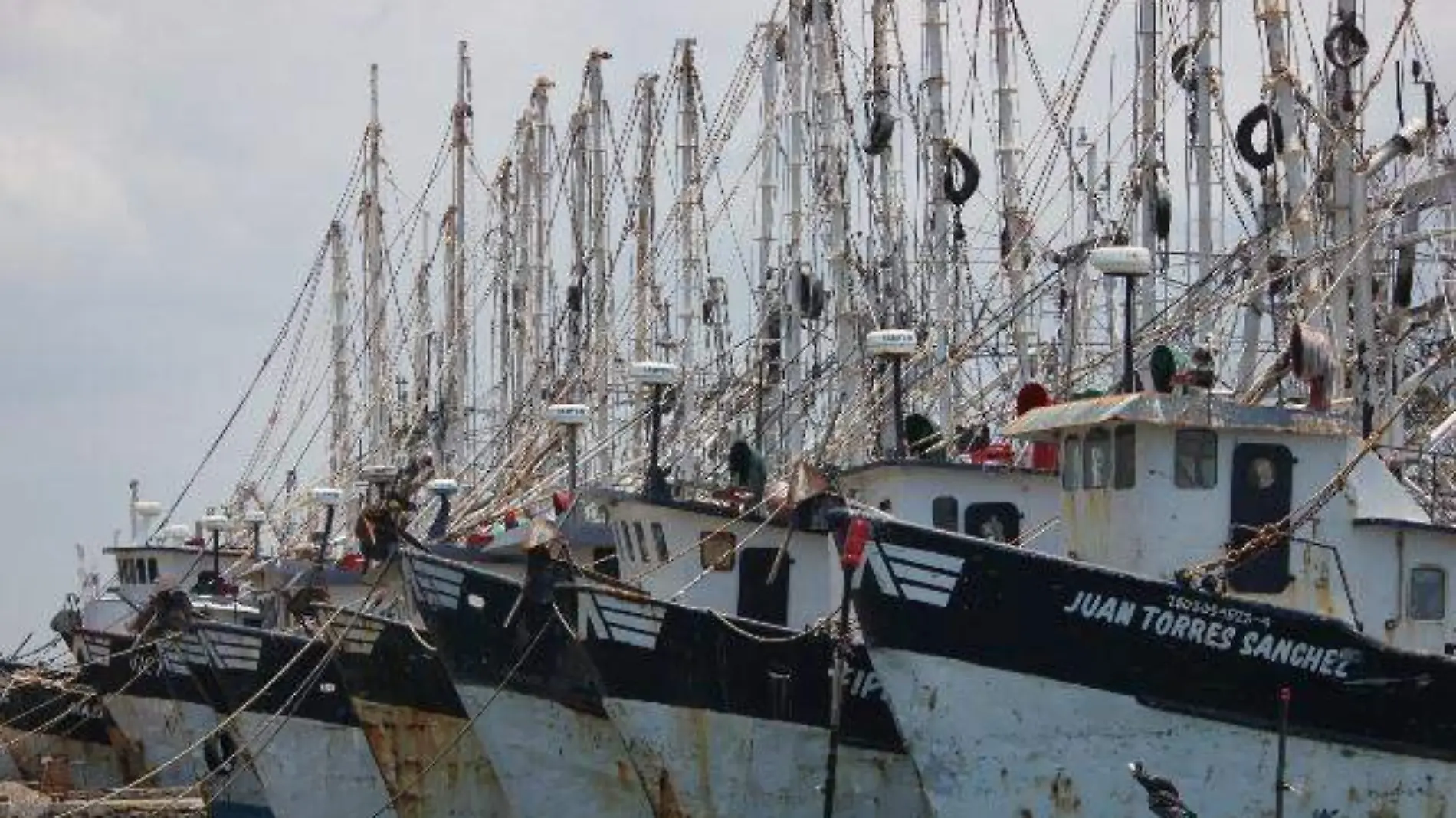 BARCOS PESQUEROS